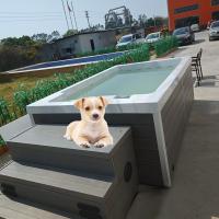 Piscina acrílica para perros para jugar en el agua