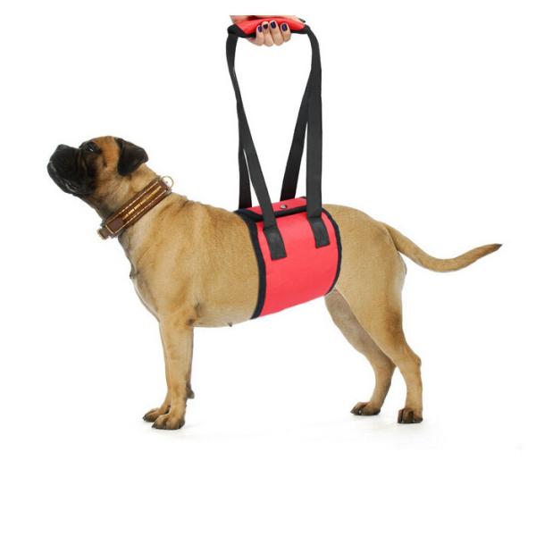 Adjustable Dog Sling 
