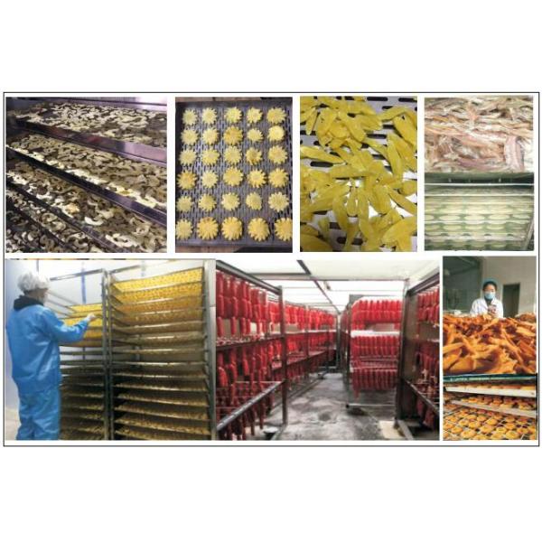 Closed Loop Small Type Fruit Drying Machine Industrial Commercial Vegetable Dryer AC380V 50Hz