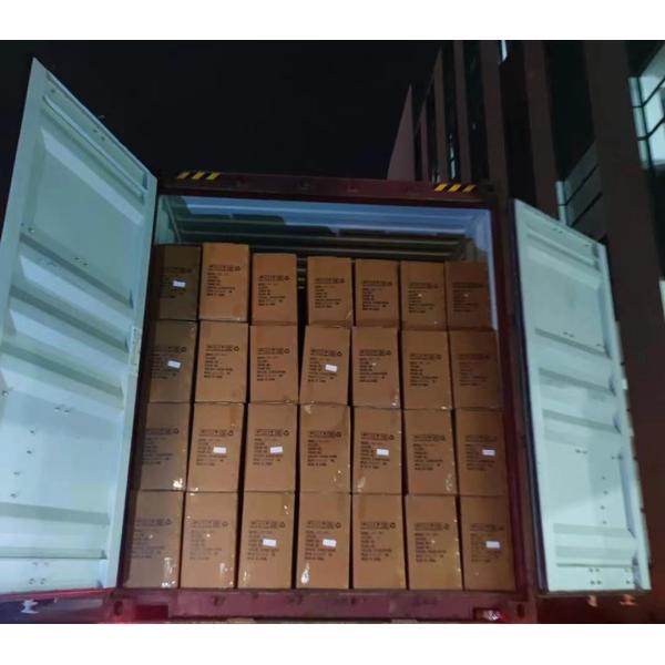 Two Seats Electric Go Cart with Front Disc Rear Disc Brake System and 60V Voltage