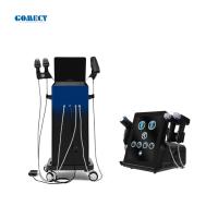 3 en 1 Morpheus 8 Máquina de RF fraccionada con mango de hielo Aprietación de la piel Virtud Micro Gomecy