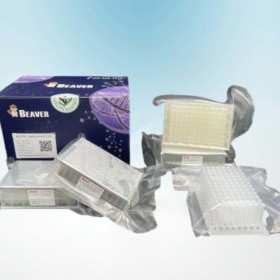 BeaverBeads Viral DNA RNA Kit 96 FU For Genetic Testing