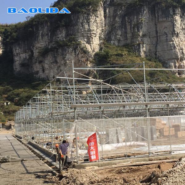 A estufa do filme plástico das sementes dos vegetais ventilou a multi coberta da folha do período