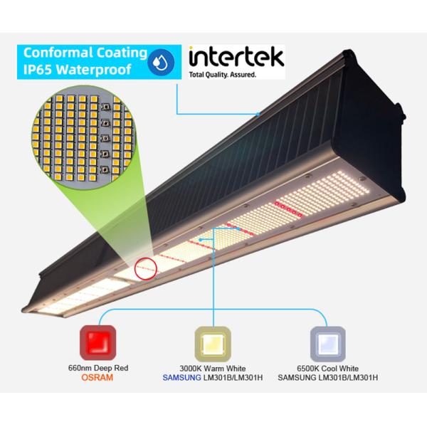 TL650 PAR 1755umol/S Greenhouse Led Grow Lights 630W For Veg / Flower
