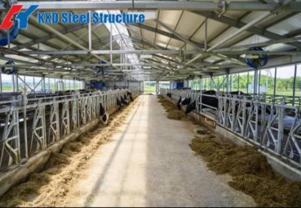 Steel Structure Prefab Poultry House Wind Resistant Pre Engineered Steel Cowshed