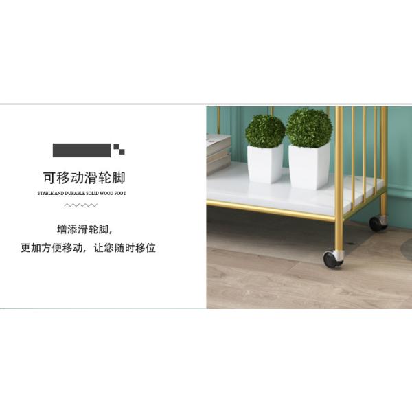 Bird Cage Shape 170cm Height Steel Book Rack Rustproof