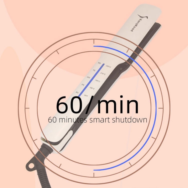 Ceramic Hair Straightener Professional Ceramic Hair Flat Iron Hot Sales Titanium 480F Hair Straightener