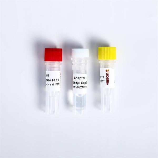 GDS Fragmentation & End Prep Module K023-A , K023-B