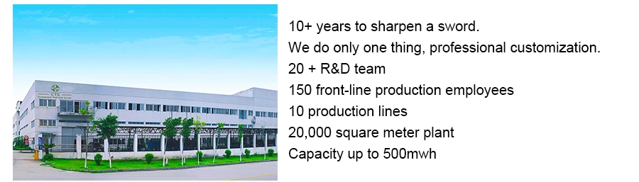 CTS 48V 300ah Литийная батарея, 48V 300ah IP67 Литий-ионный аккумулятор LFP, 48V 300ah LiFePO4 Электрическая батарея трактора