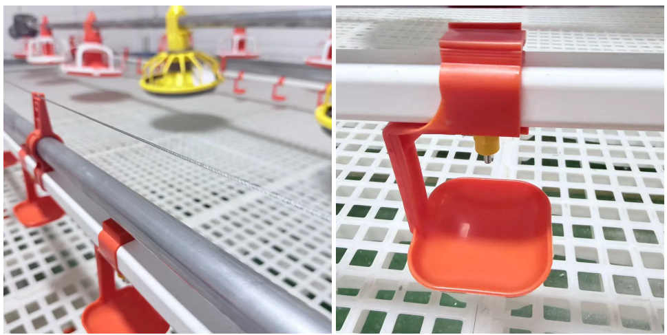 Custom Automated Poultry Equipment with Hot-Dip Galvanized Steel Anti-Spillage Design and Nipple Drinkers