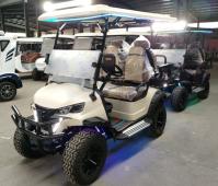 Choix de luxe à la mode 2 + 2 places chariot de golf personnalisé
