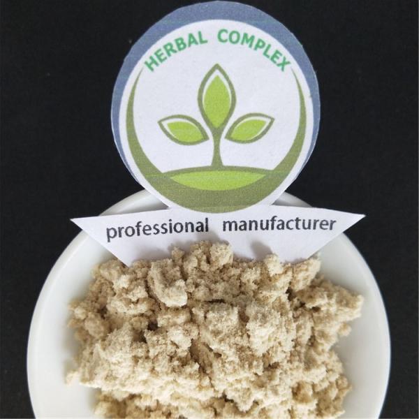 avocado powder buy  best dried avocado powder health benefits supplement products drink dosage pills