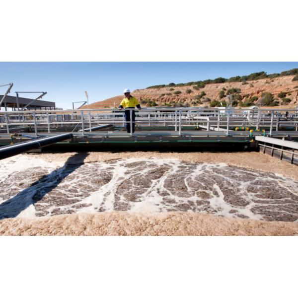 Waste Water Treatment Chemicals Decolorizing And COD Reduction Liquid BWD-0150%