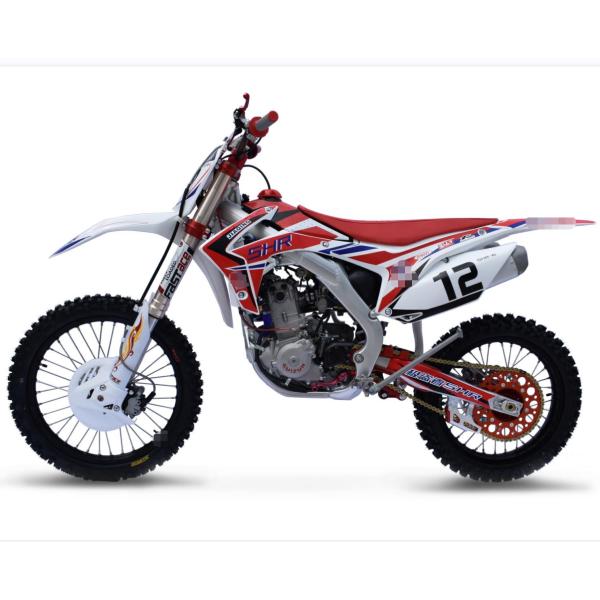 120Km/H Enduro Dual Sport Motorcycles 250cc Electric Enduro Dirt Bike