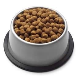 Multifunctional Dry Kibble Pet Food Extrusion Equipment for Food and Beverage Plants