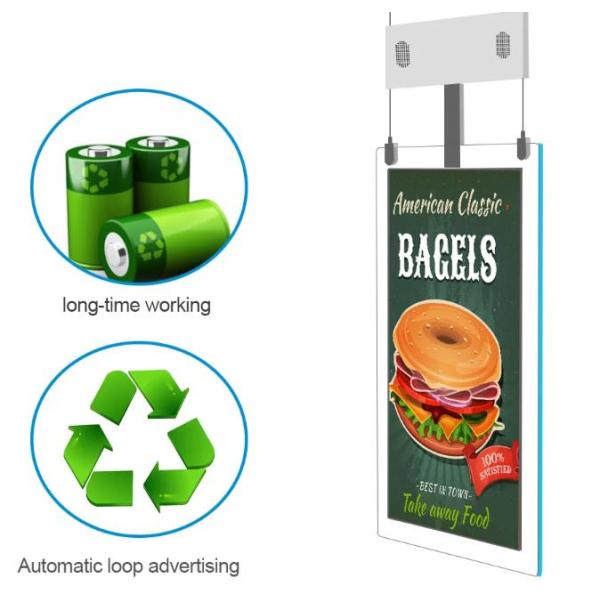 Double Sided 500cd/m2 43