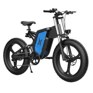 Long Endurance 60km Emtb Fat Bike Unisex Electric Fat Tyre Bicycle