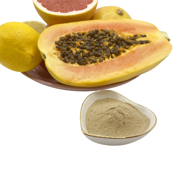 Azote organique des acides aminés 6,25% de l'engrais organique 50 d'usines