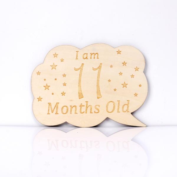 Baby 13 Pcs  Wooden Milestone Discs First Year Monthly Milestone Cards