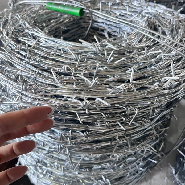 Высококачественный Южноамериканский рынок оцинкованный двойной скрученный колючей проволоки ограждения 500 метров