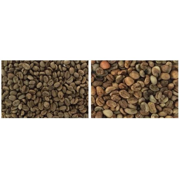 Grain Color Sorter Machine Rice Sorting Machines Sesame Sorting Machine