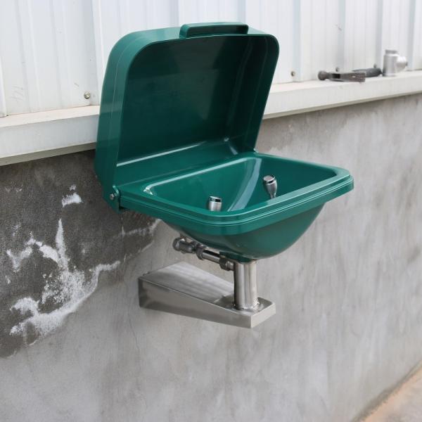 Anti-corrosion Wall-mounted ABS-cover ABS basin eye washer working place eyewash station Auto open and close