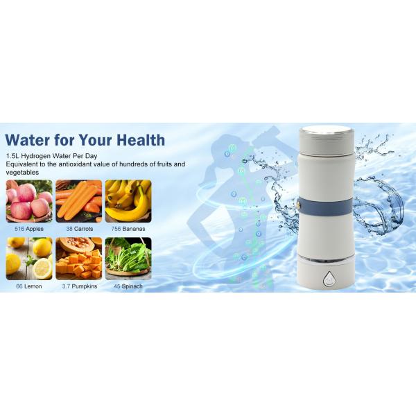 Desktop Hydrogen Water Generator with SPE PEM Rechargeable Bottle and Plastic Housing