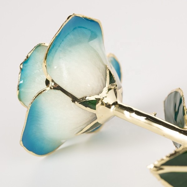 24k Gold Eternal Rose Flower Real Preserved Rose  Blue White Preserved Fresh Flower Preserved Gold Rose