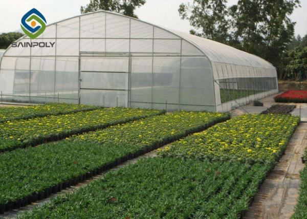 6m Single Tunnel Greenhouse