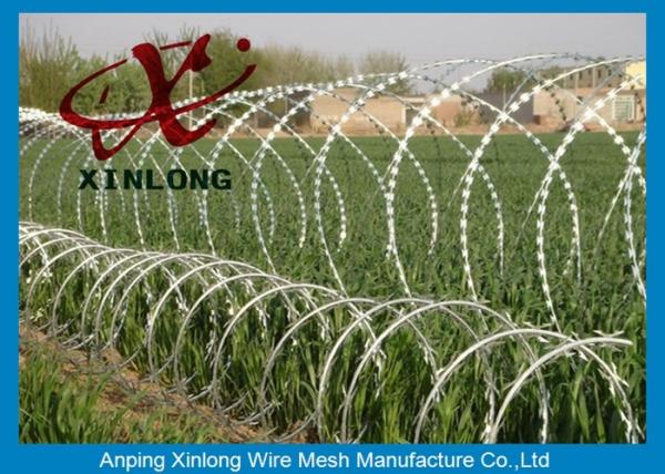 Stainless Steel Razor Barbed Wire Mesh Fence 2.5mm Wire Diameter XLF-12