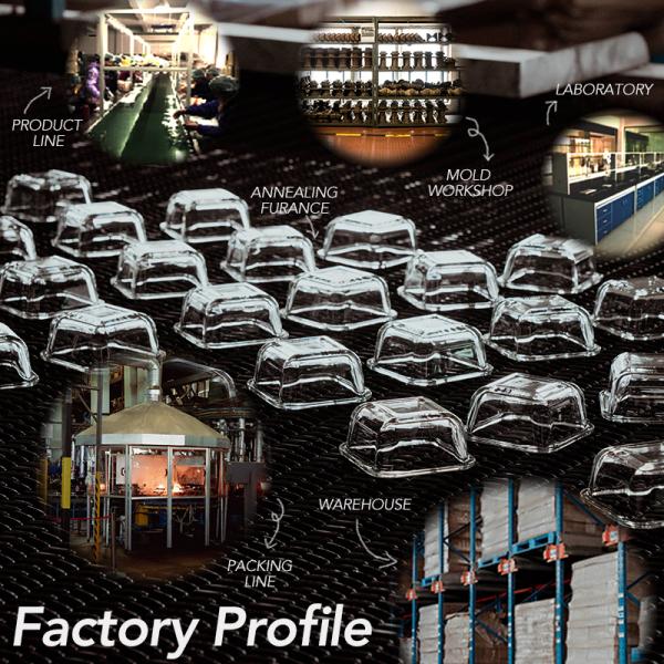 High Borosilicate Glass Fresh Keeping Box with BPA-Free PP Lid - Temperature Resistant -40℃~560℃ Rectangular Shape and Customizable Color