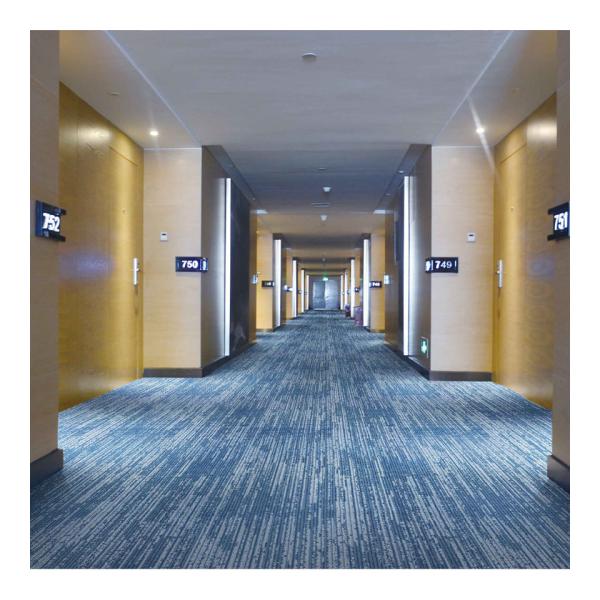 Simple Style Decorative Wall To Wall Printed Carpet Hotel Floor Carpet Roll