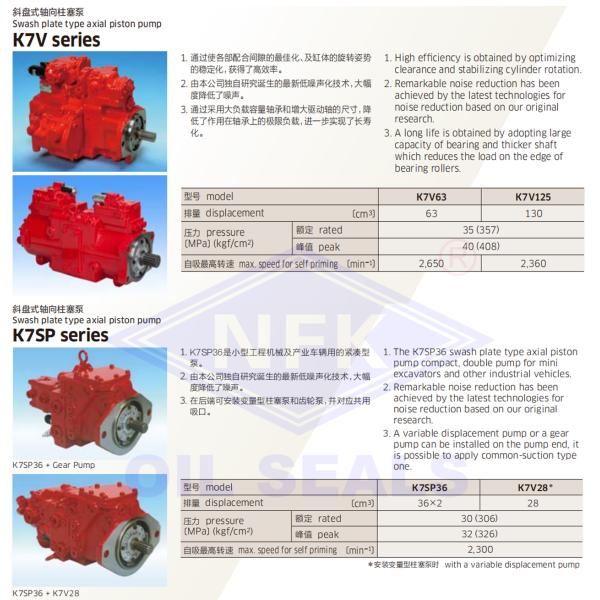 Pompes hydrauliques spéciales pour Kawasaki