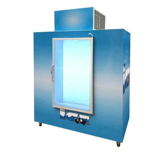 Glass Door Indoor Ice freezer , Auto Defrost Commercial Ice Bagged Stroage Room