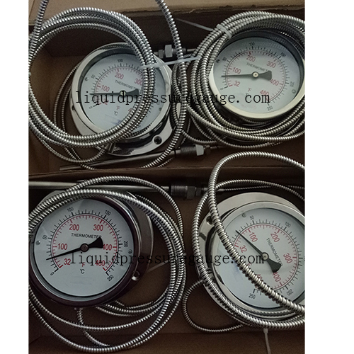 Тип датчик 1/2 NPT капилляра температуры капилляра 600C 100MM 4in