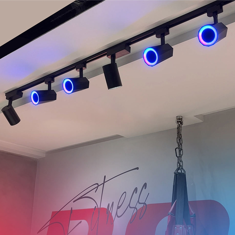 Track Rail RGB Speaker 12w Rail Adjustable Design Commercial System Lighting Speaker for Store and Showroom