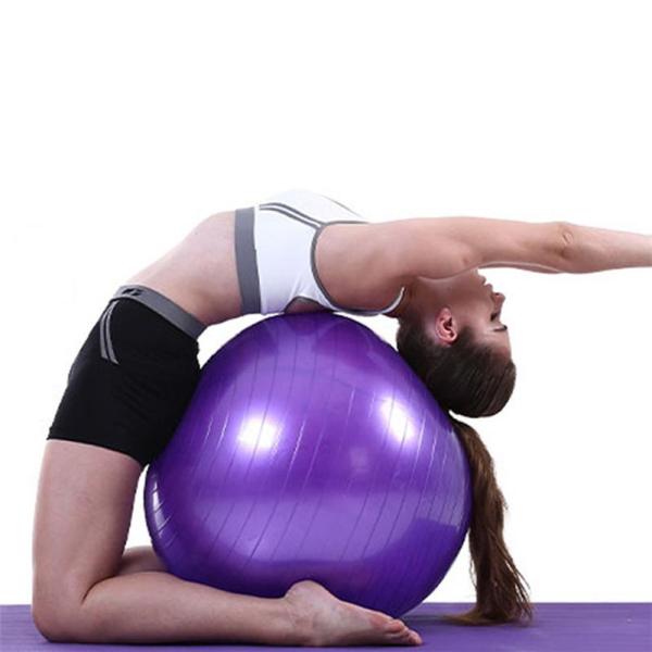 Heavy Duty Stability Yoga Balance Ball 85cm Gym Fitness Ball Supports 2200lbs