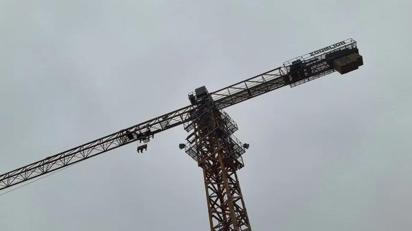 21 ans d' équipement de construction assemblé Zoomlion Tour Crane avec pièces de rechange