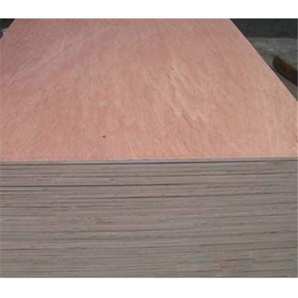 Rotary Cut Bintangor Veneers E1 2440mm BC Wood Plywood