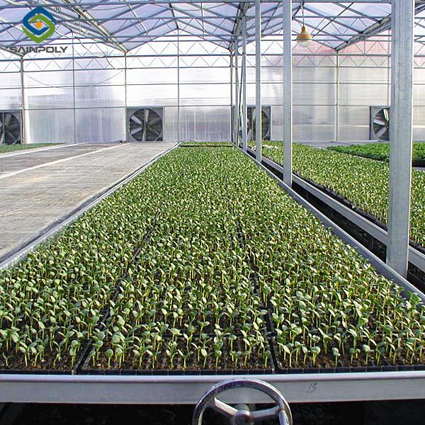 Venlo Greenhouse Commercial Polycarbonate Glass Greenhouse For Seeds Vegetables Hydroponic Tomato