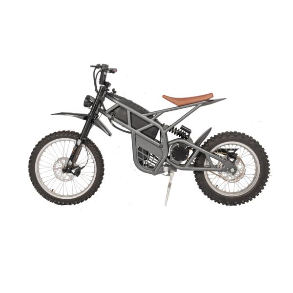 Steel Frame Fat Tire Bicycle Electric Dirt Bike for Men Rear Hub Motor Braking System