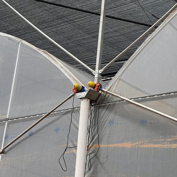 90m Length High Wall Plastic Film Autpmatic System Multi Span Greenhouse