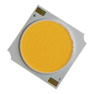 1919 Chip COB LED Warm White 1700K 3000K 4000K 6000K 7000K