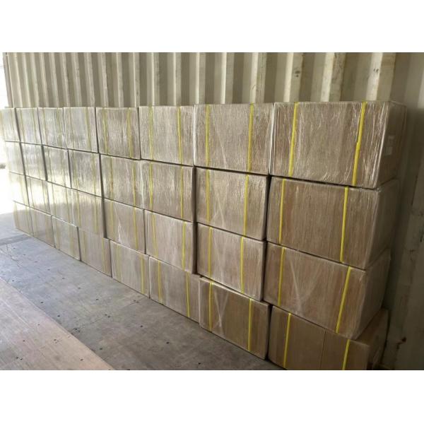 Сумочный дизайн Ветеринарный мобильный стоматологический терапевтический блок Легко перемещаемый оборудование для лечения зубов домашних животных