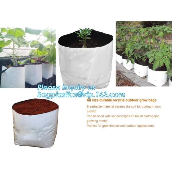 100% Biodegradable мульчирует, биологические процессы ухудшения, коробка плода, цветочный горшок, ткань джута, культивируя сумку, сеть джута, сеть