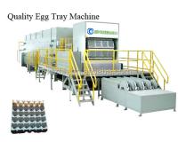 Máquina de reciclagem de resíduos de embalagens pequenas de cartão de 80kw Moldagem de celulose