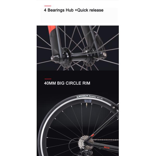 SAVA R8 Unisex Aluminum Alloy Bicycle 110kg Load Capacity 1.2m Length