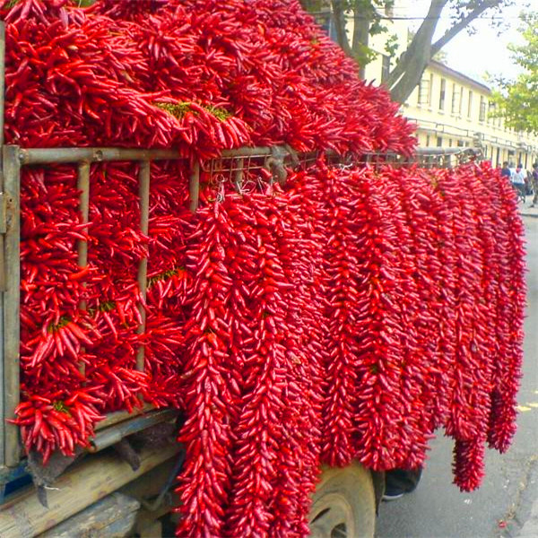 Premium Chilli Pepper Powder Rich In Vitamin C And Antioxidants With 60-80 Mesh And 80-220 ASTA For Culinary Use