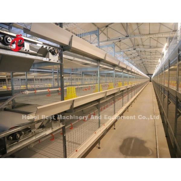 Automatic Feeding Broiler Battery Cage System For Farming Save Space Emily