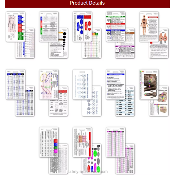 Custom Waterproof Plastic RN CNA Nursing Student Internship Nurse Badge Set Lab Values EKG Vitals Pocket Label Printing